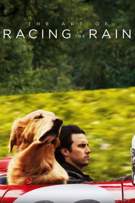 The Art of Racing in the Rain (2019)