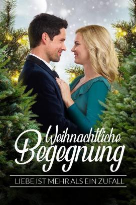 Weihnachtliche Begegnung - Liebe ist mehr als ein Zufall (2019)